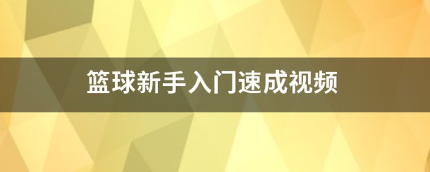 美国孩子篮球训练视频